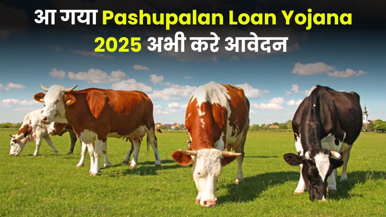 Pashupalan Loan Yojana 2025