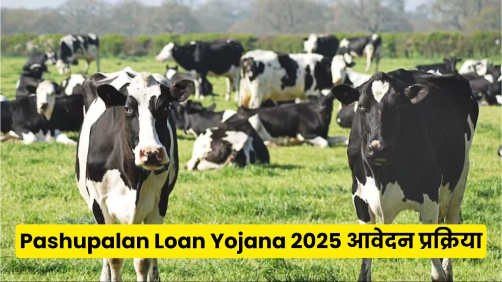 Pashupalan Loan Yojana 2025