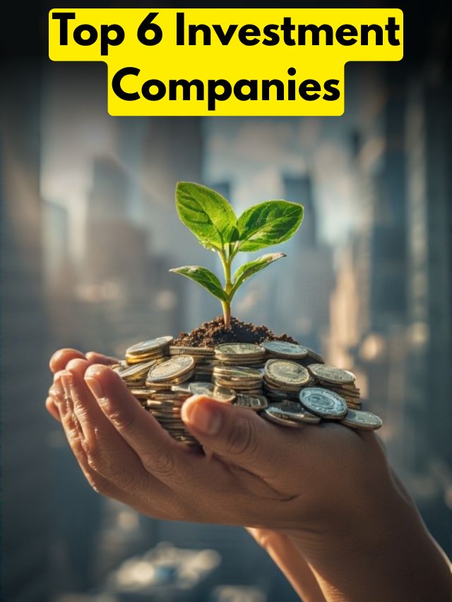 Top 6 Investment Companies