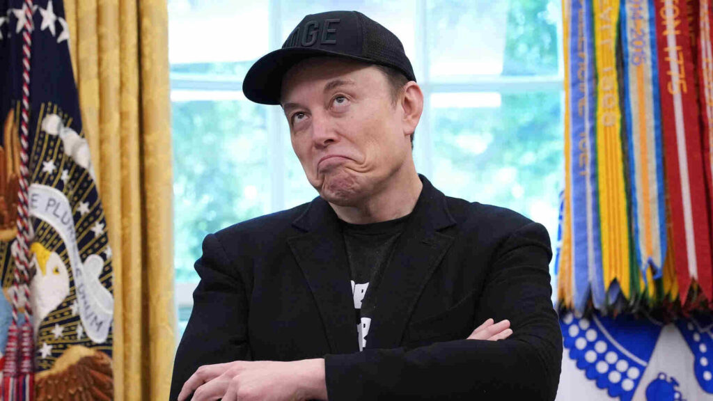 Elon Musk Political Party