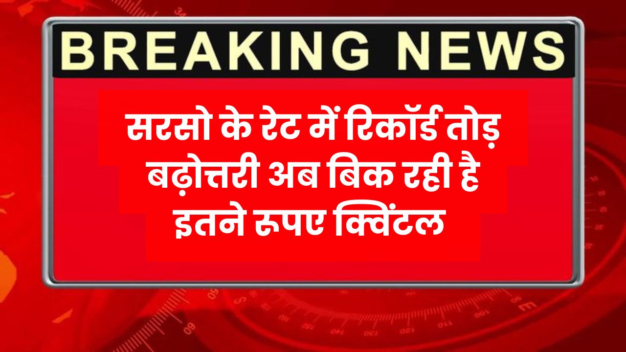 Sarso Price Hike