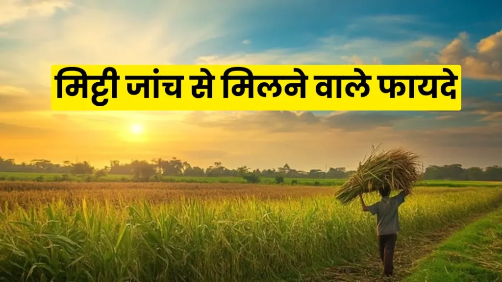 Soil Health Card Yojana 2025: Get your soil tested and get more crops