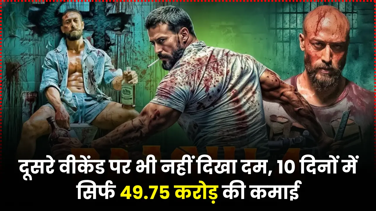 Baaghi 4 Box Office Collection
